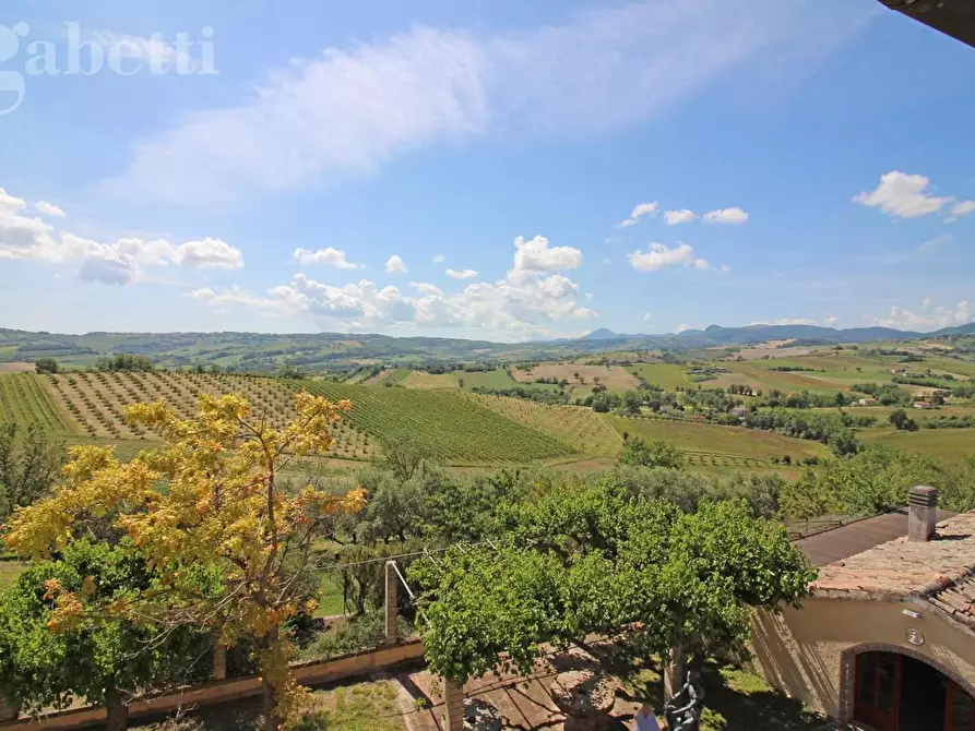 Immagine 28 di Casa bifamiliare in vendita  in Via MONTALE a Arcevia