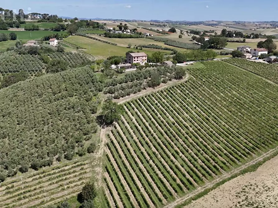 Immagine 8 di Casa bifamiliare in vendita  in Via MONTALE a Arcevia