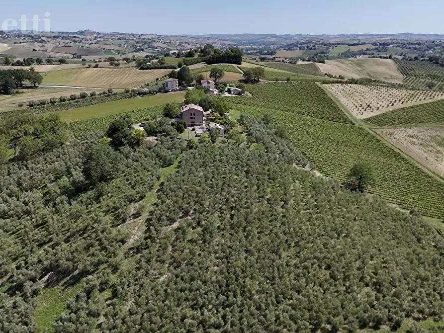 Immagine 10 di Casa bifamiliare in vendita  in Via MONTALE a Arcevia