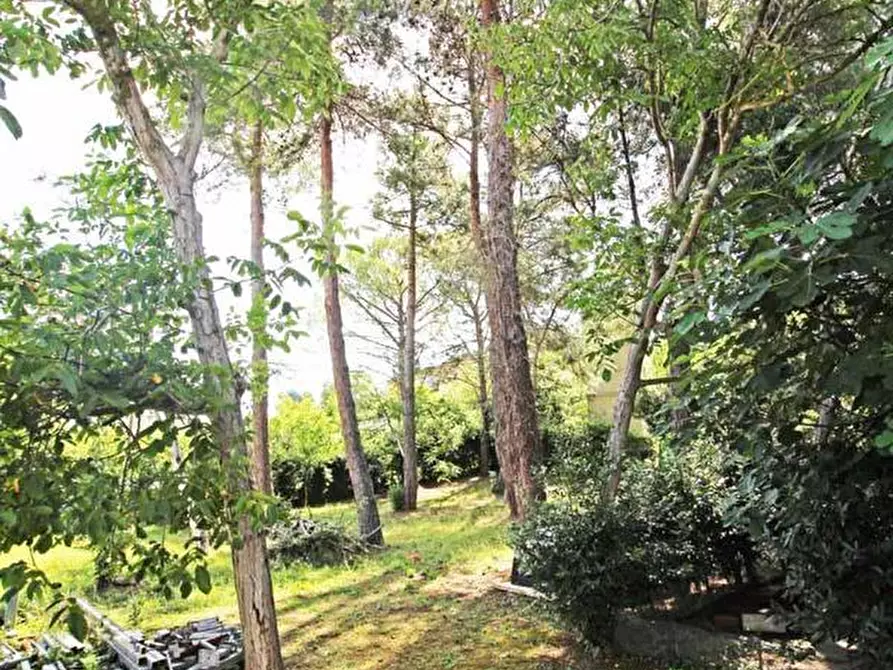 Immagine 5 di Casa indipendente in vendita  in Strada Arceviese a Senigallia