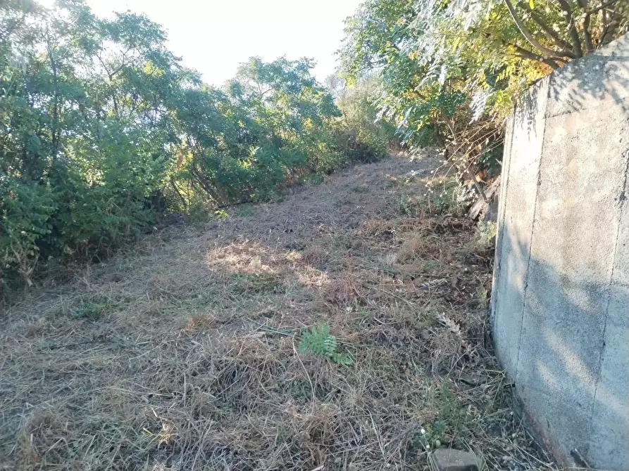 Immagine 15 di Rustico / casale in vendita  in Contrada Serre - Via Batia, 1 a Cefalù