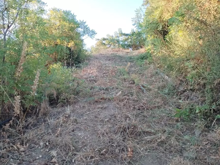 Immagine 21 di Rustico / casale in vendita  in Contrada Serre - Via Batia, 1 a Cefalù