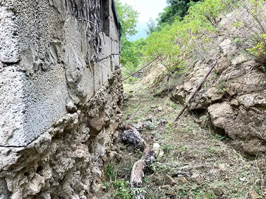 Immagine 10 di Rustico / casale in vendita  in Contrada Serre - Via Batia, 1 a Cefalù