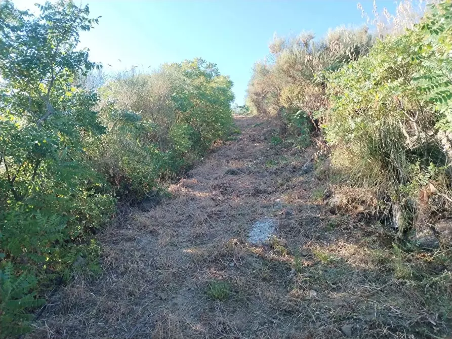 Immagine 4 di Rustico / casale in vendita  in Contrada Serre - Via Batia, 1 a Cefalù
