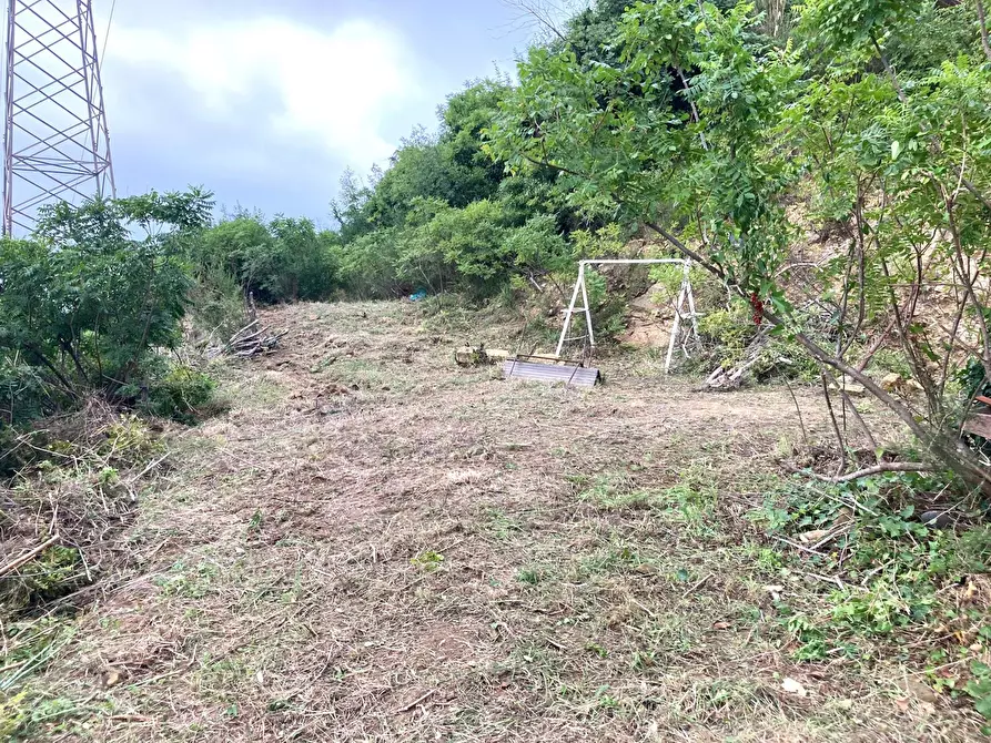 Immagine 1 di Rustico / casale in vendita  in Contrada Serre - Via Batia, 1 a Cefalù