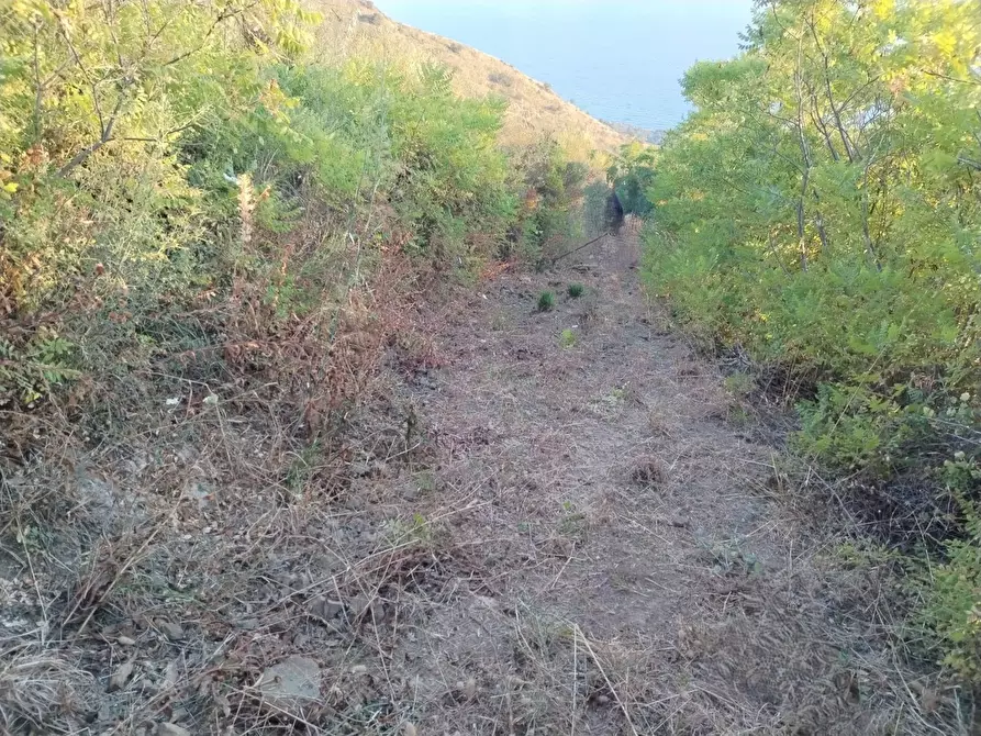 Immagine 20 di Rustico / casale in vendita  in Contrada Serre - Via Batia, 1 a Cefalù