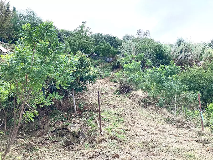 Immagine 13 di Rustico / casale in vendita  in Contrada Serre - Via Batia, 1 a Cefalù