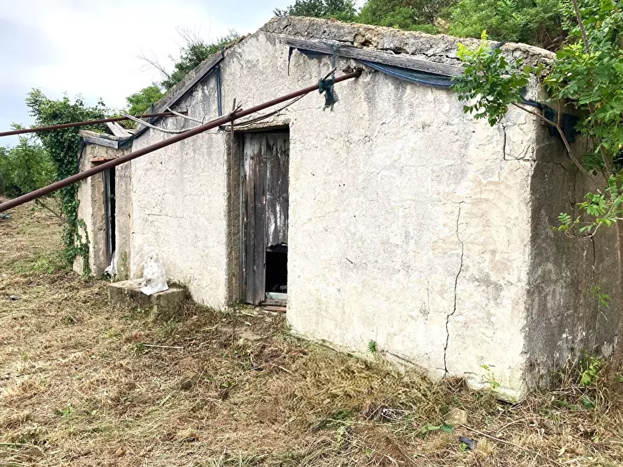 Immagine 6 di Rustico / casale in vendita  in Contrada Serre - Via Batia, 1 a Cefalù