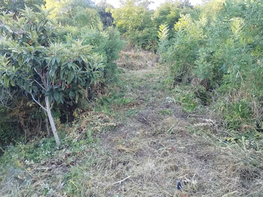 Immagine 18 di Rustico / casale in vendita  in Contrada Serre - Via Batia, 1 a Cefalù