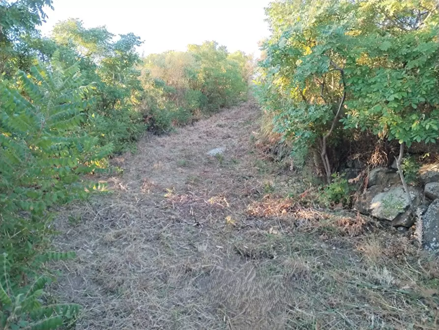 Immagine 19 di Rustico / casale in vendita  in Contrada Serre - Via Batia, 1 a Cefalù