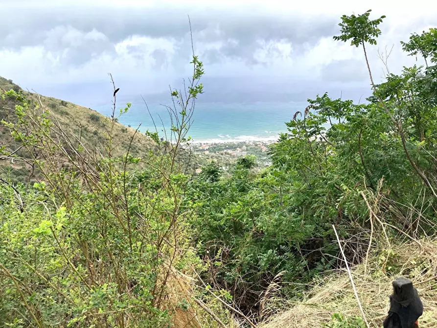 Immagine 3 di Rustico / casale in vendita  in Contrada Serre - Via Batia, 1 a Cefalù