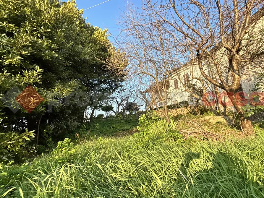 Immagine 28 di Casa indipendente in vendita  in Strada dâaccesso, 4 a Fumone