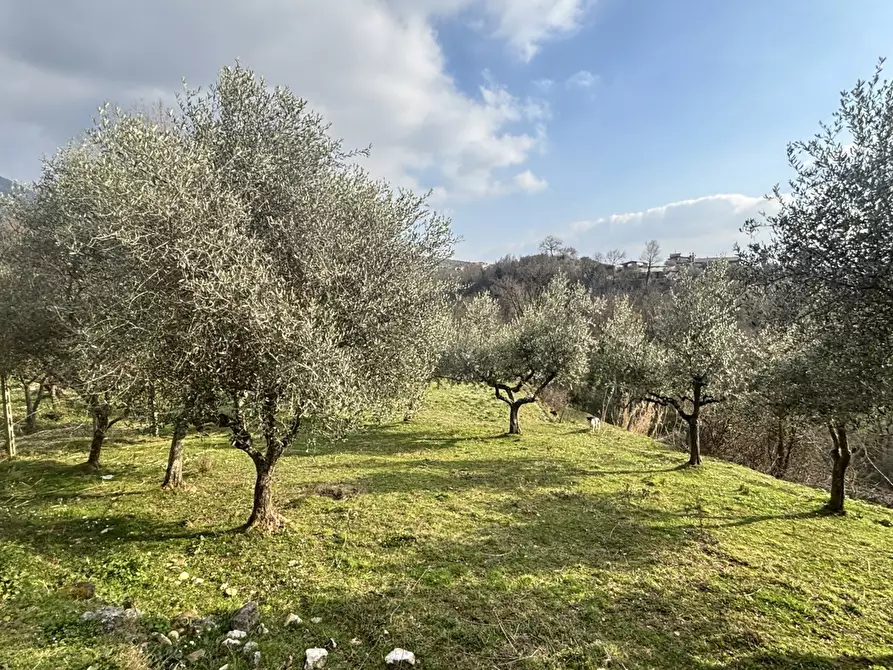 Immagine 1 di Rustico / casale in vendita  in Via Casale Basso, snc a Alatri