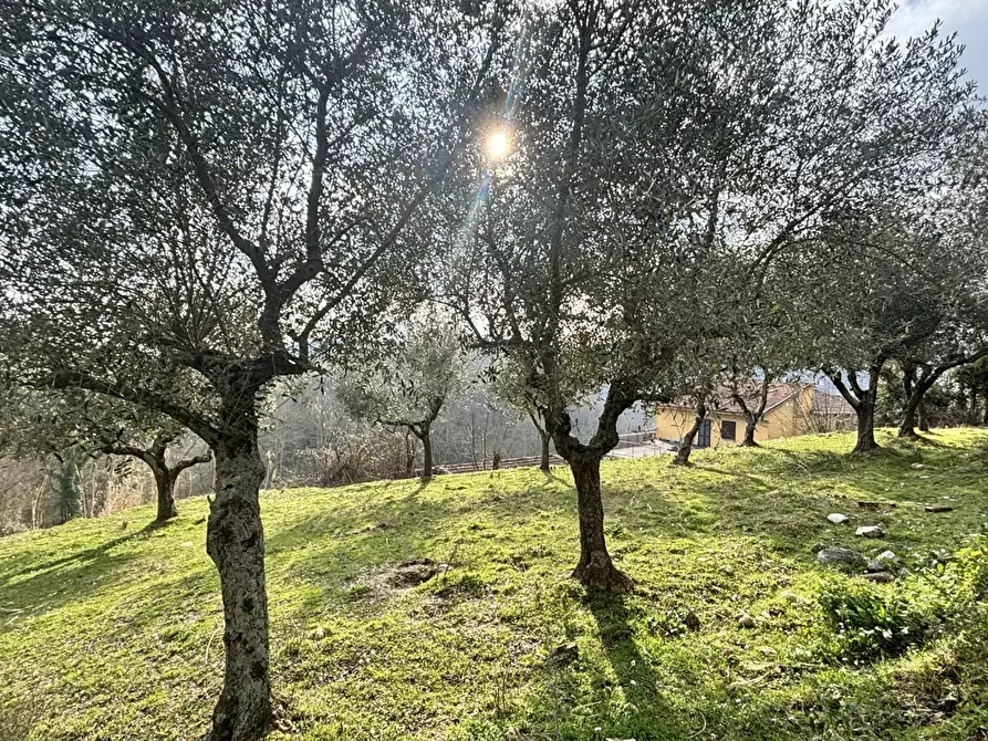 Immagine 10 di Rustico / casale in vendita  in Via Casale Basso, snc a Alatri
