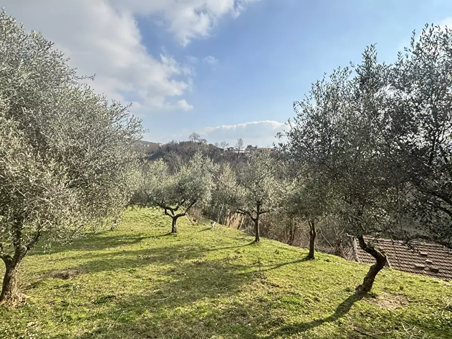 Immagine 2 di Rustico / casale in vendita  in Via Casale Basso, snc a Alatri