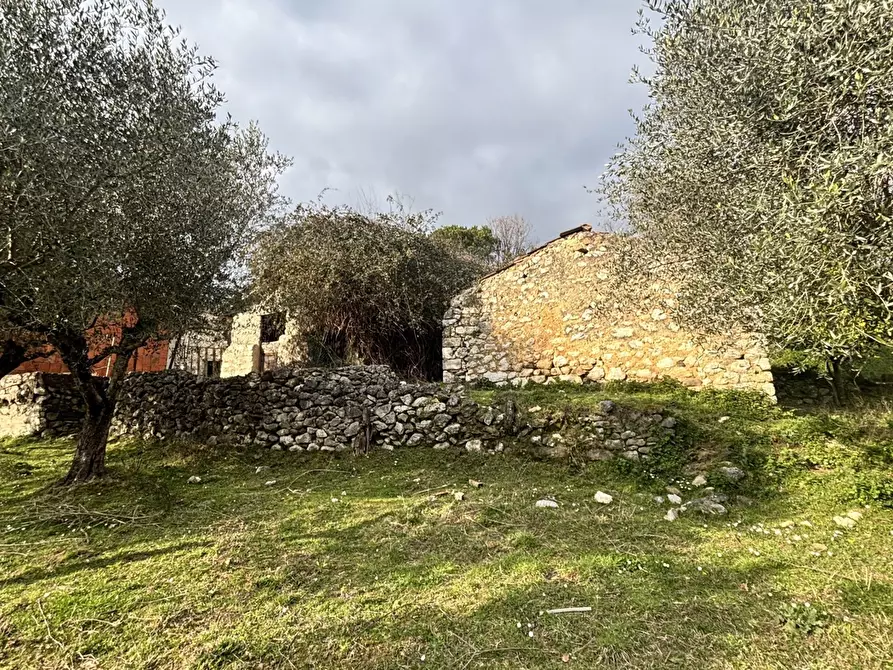 Immagine 14 di Rustico / casale in vendita  in Via Casale Basso, snc a Alatri
