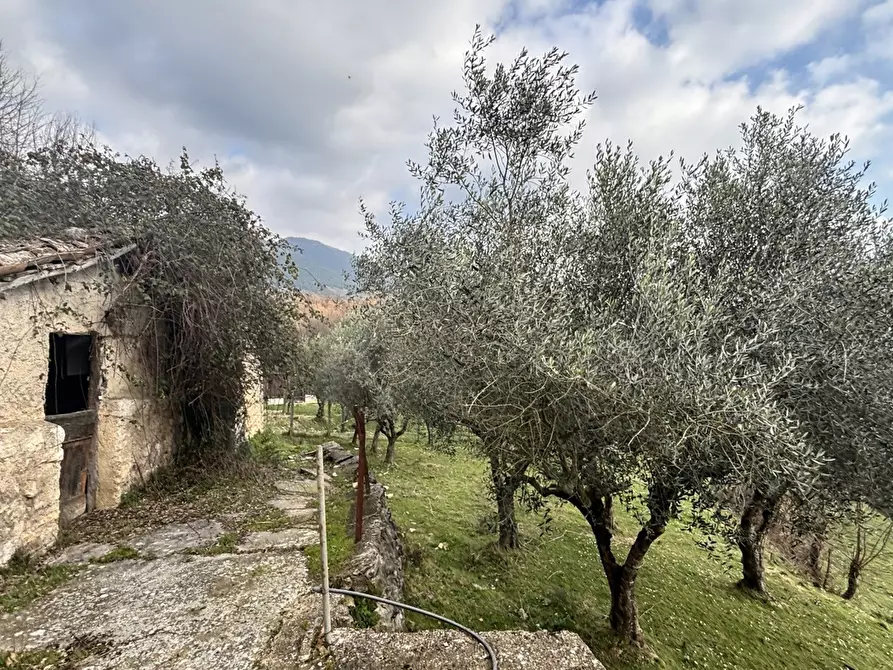 Immagine 18 di Rustico / casale in vendita  in Via Casale Basso, snc a Alatri
