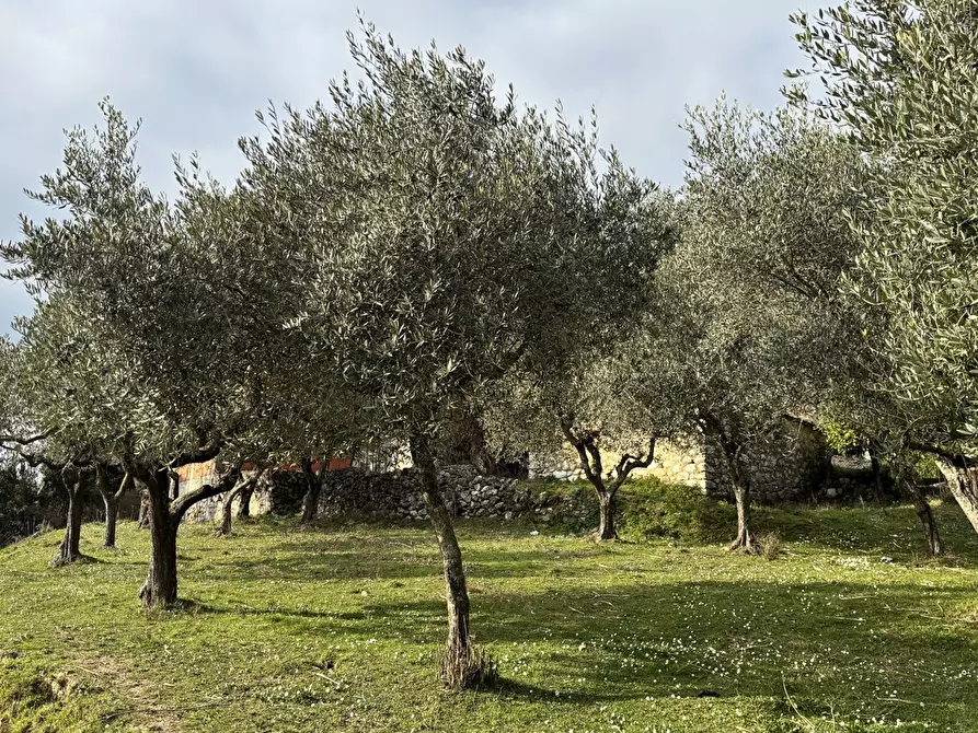 Immagine 7 di Rustico / casale in vendita  in Via Casale Basso, snc a Alatri