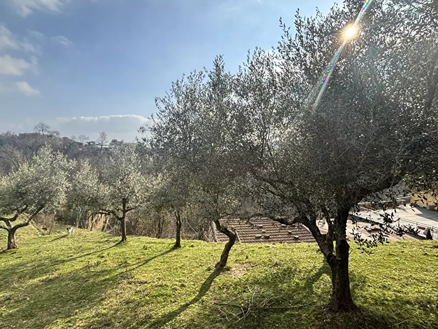 Immagine 3 di Rustico / casale in vendita  in Via Casale Basso, snc a Alatri