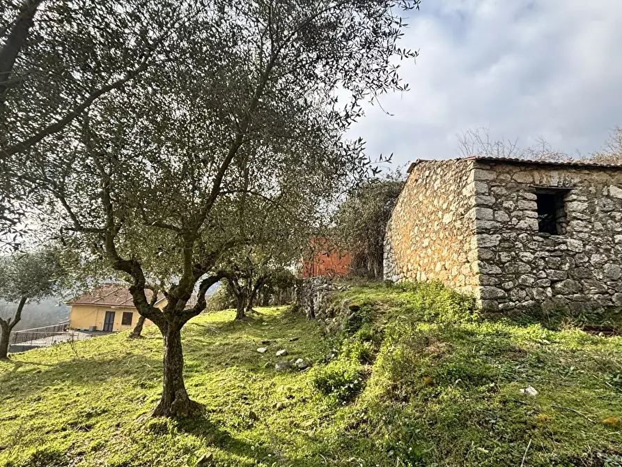 Immagine 11 di Rustico / casale in vendita  in Via Casale Basso, snc a Alatri