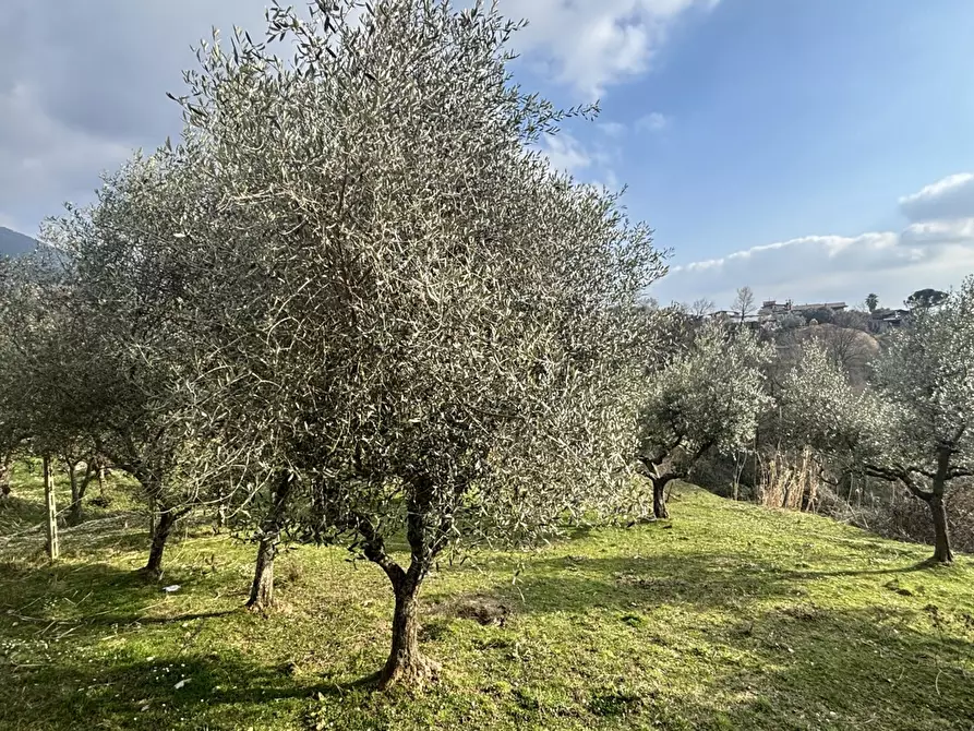 Immagine 6 di Rustico / casale in vendita  in Via Casale Basso, snc a Alatri