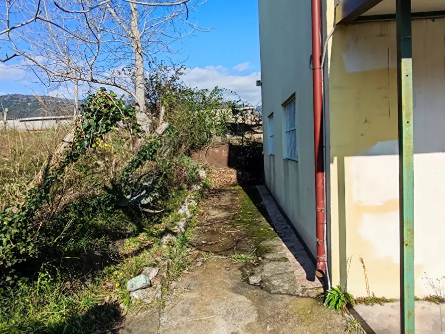 Immagine 8 di Villa in vendita  in LocalitÃ  MORTILLA, SNC a Magisano