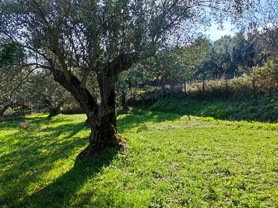 Immagine 48 di Villa in vendita  in LocalitÃ  MORTILLA, SNC a Magisano