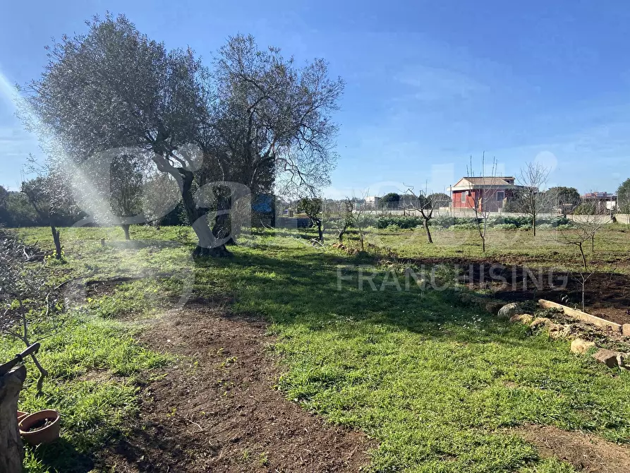 Immagine 15 di Casa indipendente in vendita  in Via Murruzzulu Tronco A, 21 a Sassari