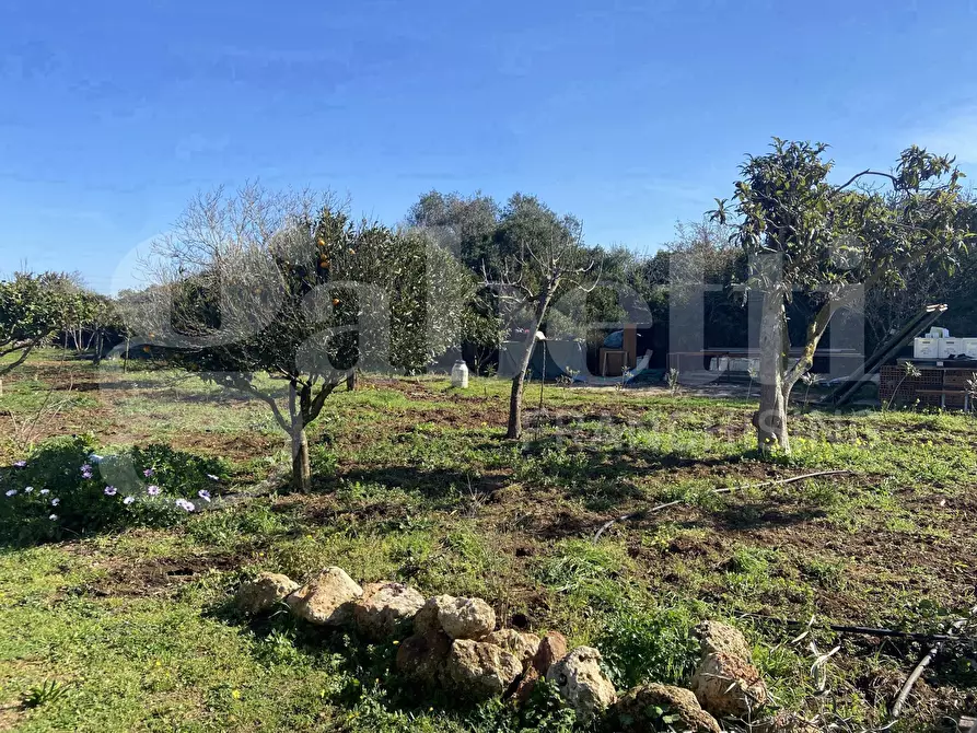 Immagine 13 di Casa indipendente in vendita  in Via Murruzzulu Tronco A, 21 a Sassari