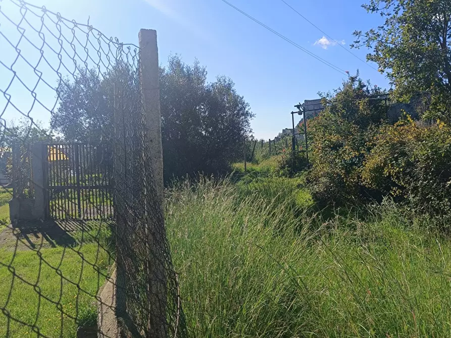 Immagine 3 di Terreno agricolo in vendita  in Via Giampilieri Superiore, contrada santa Lucia, Snc a Messina