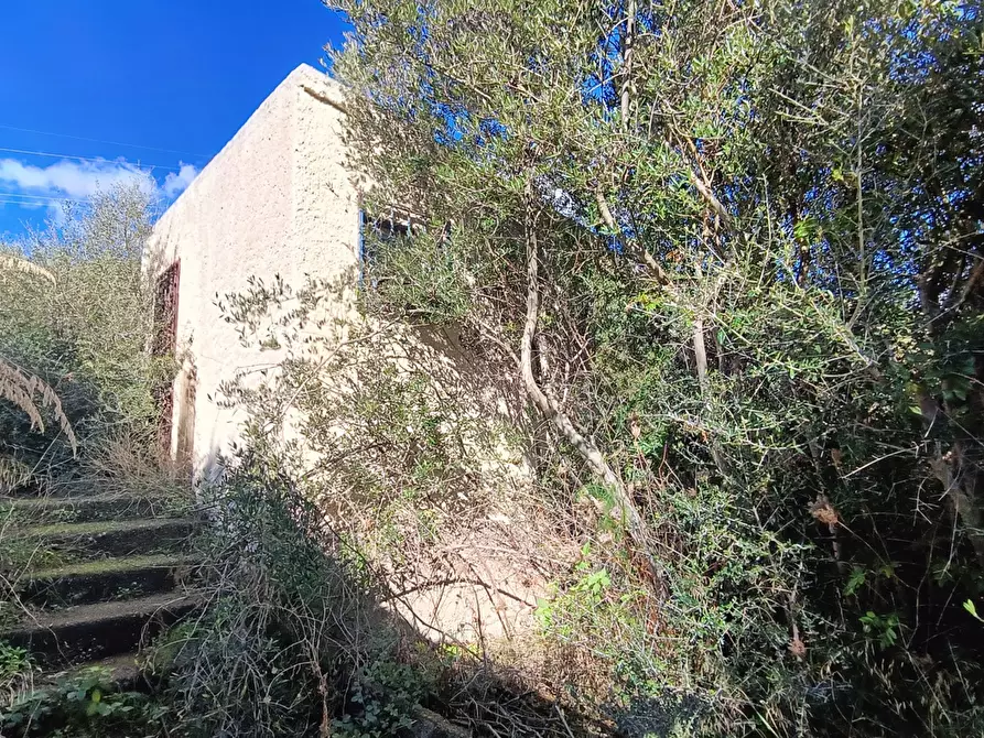 Immagine 11 di Terreno agricolo in vendita  in Via Giampilieri Superiore, contrada santa Lucia, Snc a Messina