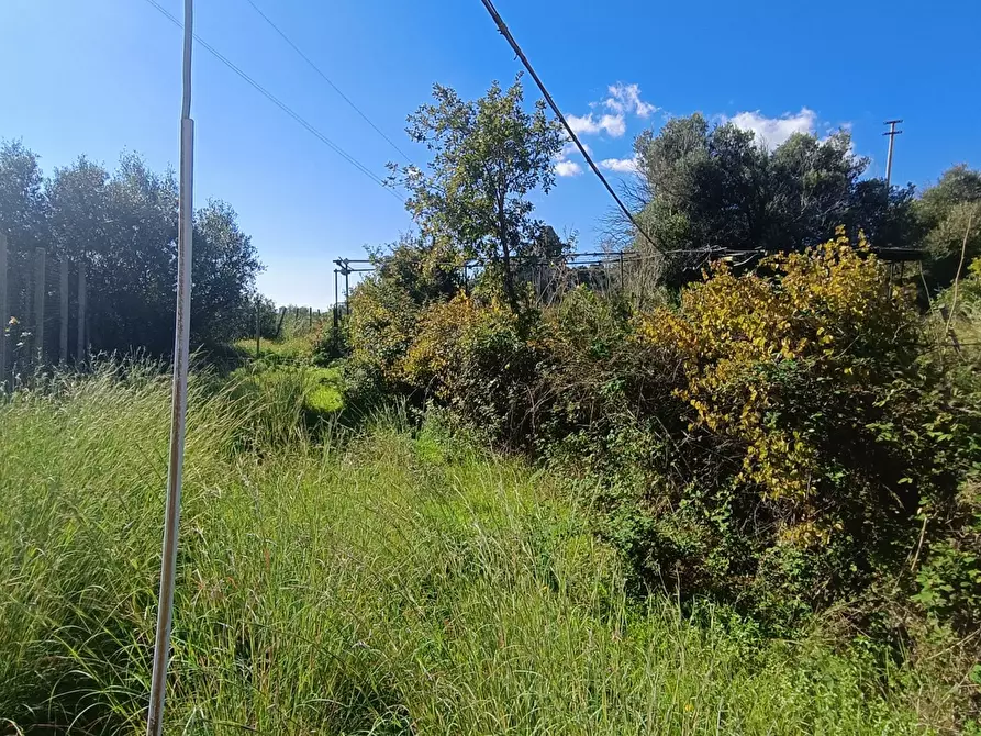 Immagine 21 di Terreno agricolo in vendita  in Via Giampilieri Superiore, contrada santa Lucia, Snc a Messina