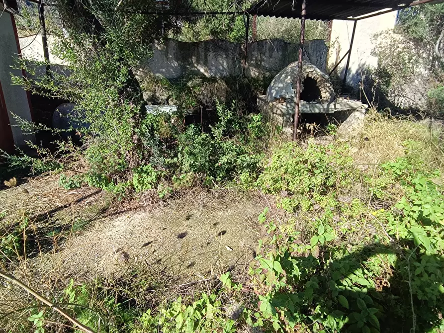 Immagine 8 di Terreno agricolo in vendita  in Via Giampilieri Superiore, contrada santa Lucia, Snc a Messina