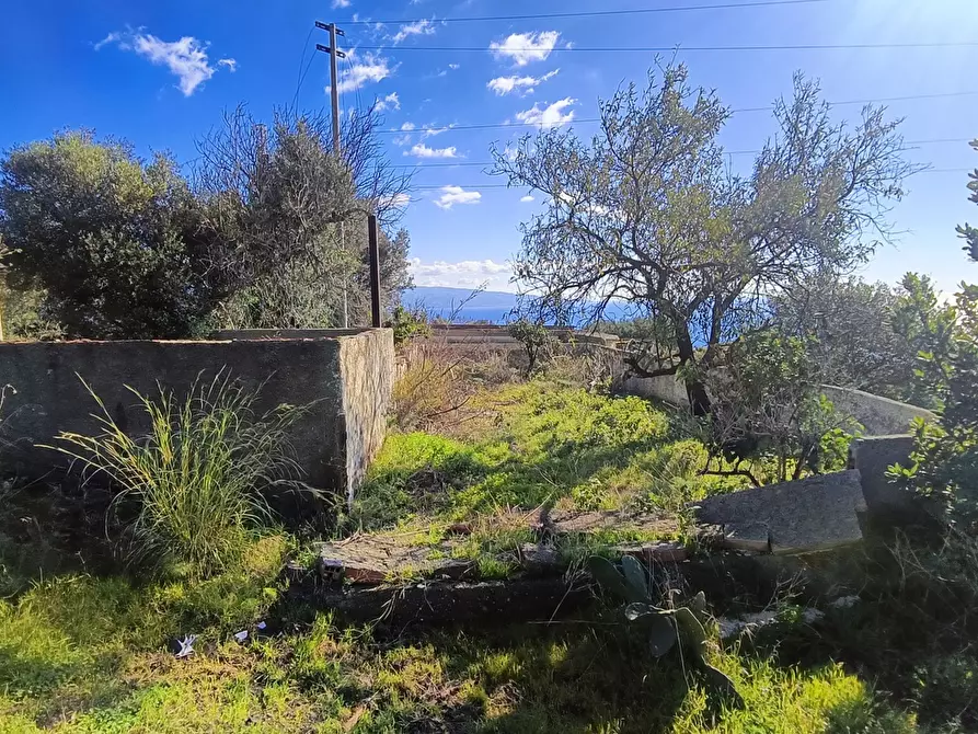 Immagine 15 di Terreno agricolo in vendita  in Via Giampilieri Superiore, contrada santa Lucia, Snc a Messina