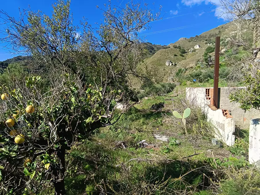 Immagine 14 di Terreno agricolo in vendita  in Via Giampilieri Superiore, contrada santa Lucia, Snc a Messina