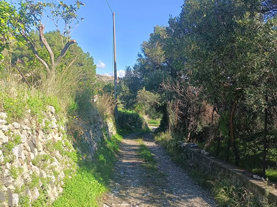 Immagine 2 di Terreno agricolo in vendita  in Via Giampilieri Superiore, contrada santa Lucia, Snc a Messina