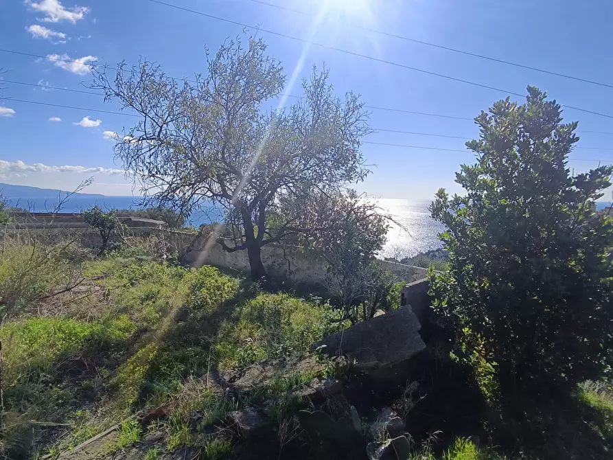 Immagine 17 di Terreno agricolo in vendita  in Via Giampilieri Superiore, contrada santa Lucia, Snc a Messina