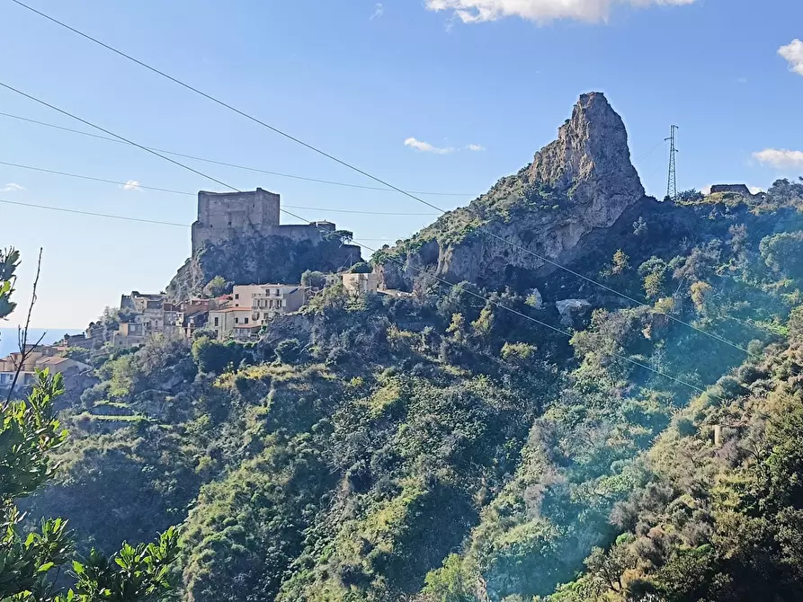 Immagine 18 di Terreno agricolo in vendita  in Via Giampilieri Superiore, contrada santa Lucia, Snc a Messina