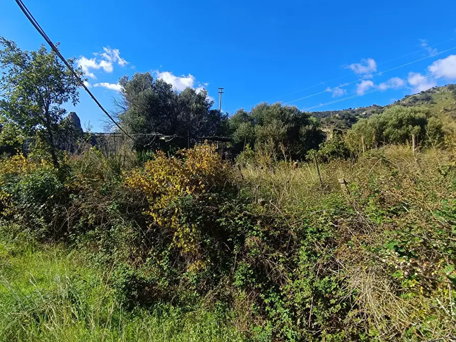 Immagine 20 di Terreno agricolo in vendita  in Via Giampilieri Superiore, contrada santa Lucia, Snc a Messina