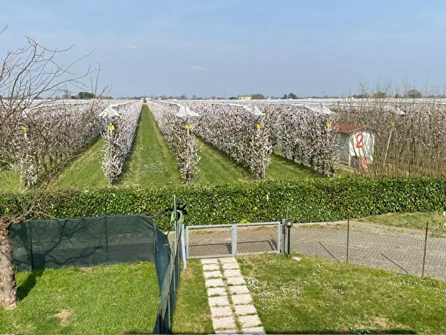 Immagine 9 di Appartamento in vendita  in Via martorella a Forli'