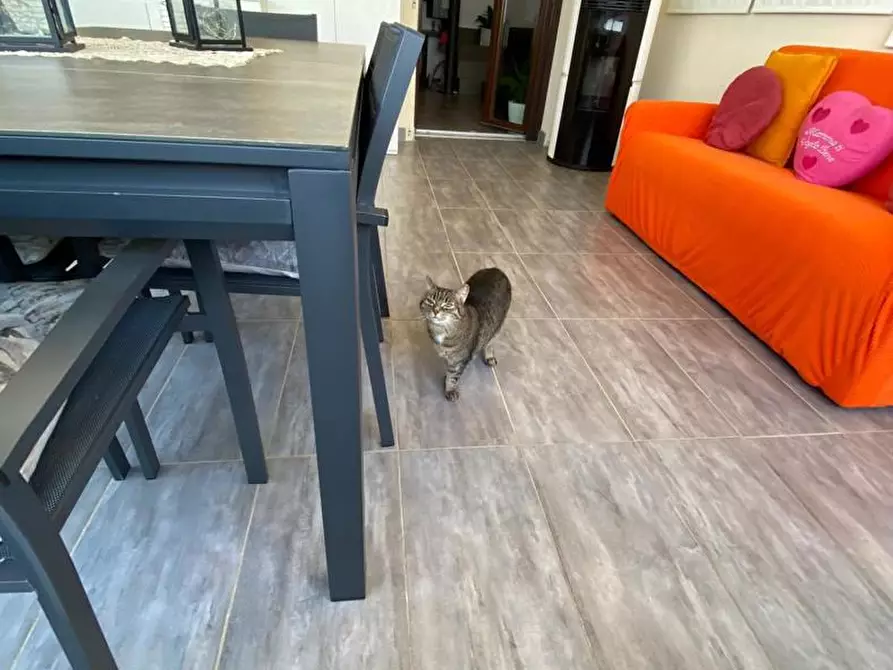 Immagine 43 di Appartamento in vendita  in Via martorella a Forli'