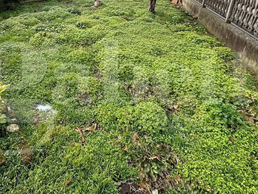 Immagine 22 di Appartamento in vendita  in Via CAVARZERE, Via dei Martiri, 00 a Cavarzere