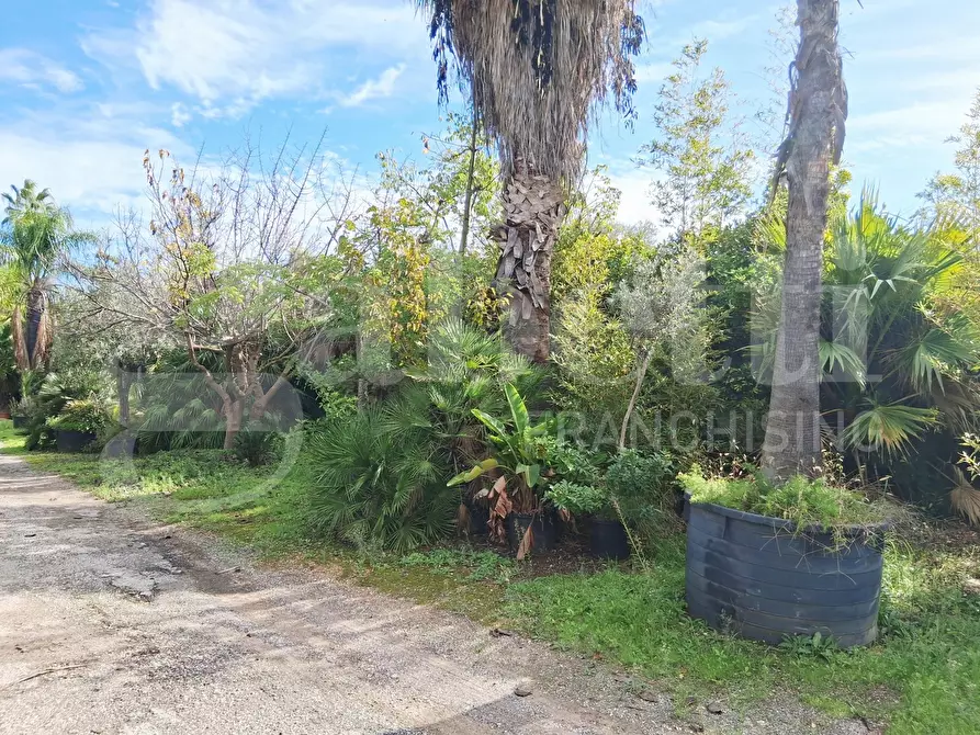 Immagine 38 di Terreno agricolo in vendita  in Contrada gaddimeli, snc a Ragusa