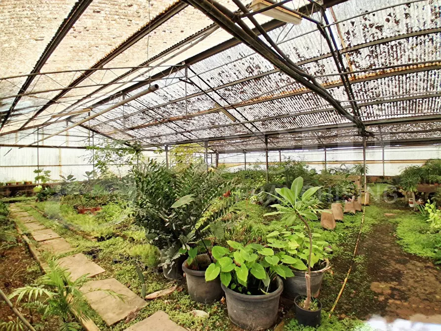 Immagine 42 di Terreno agricolo in vendita  in Contrada gaddimeli, snc a Ragusa