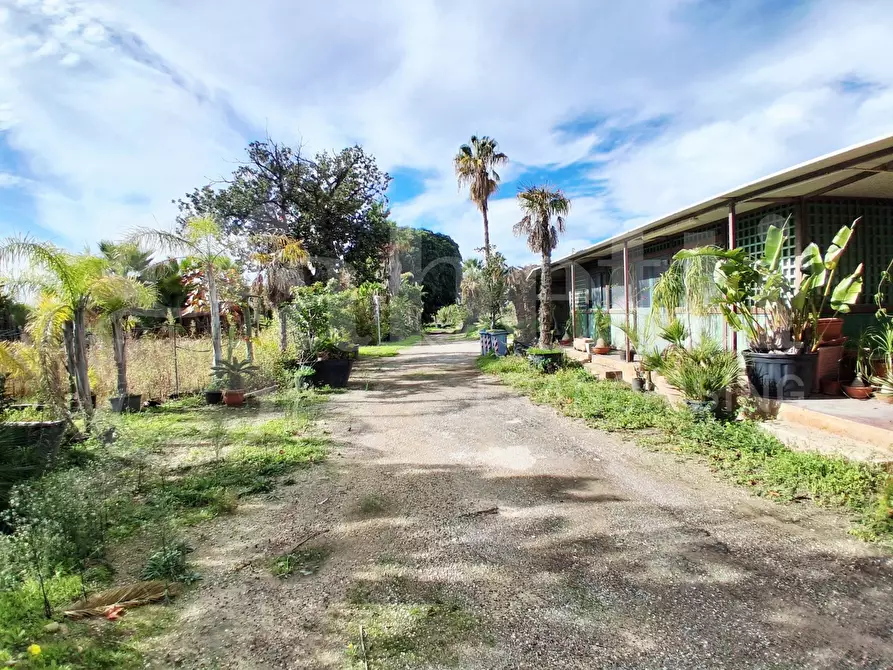 Immagine 4 di Terreno agricolo in vendita  in Contrada gaddimeli, snc a Ragusa