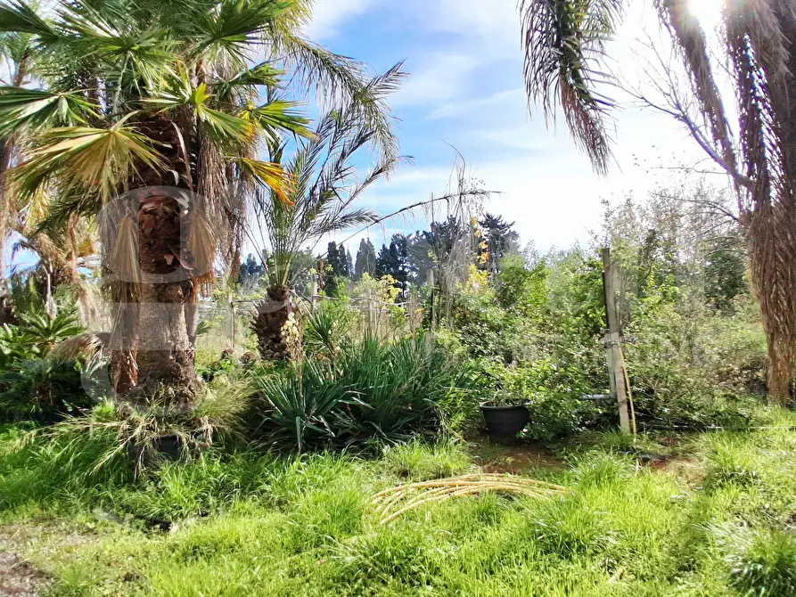 Immagine 46 di Terreno agricolo in vendita  in Contrada gaddimeli, snc a Ragusa