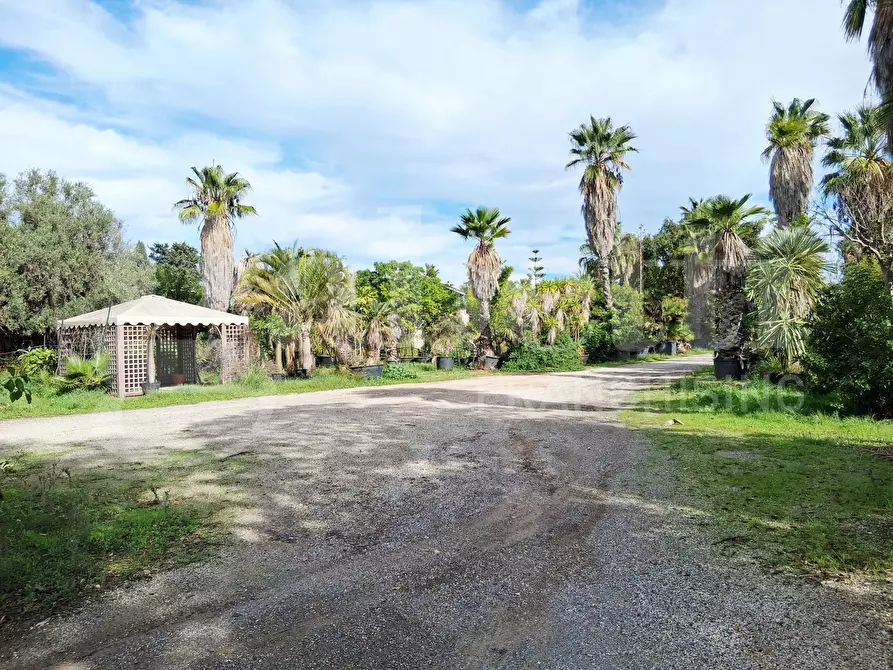 Immagine 34 di Terreno agricolo in vendita  in Contrada gaddimeli, snc a Ragusa