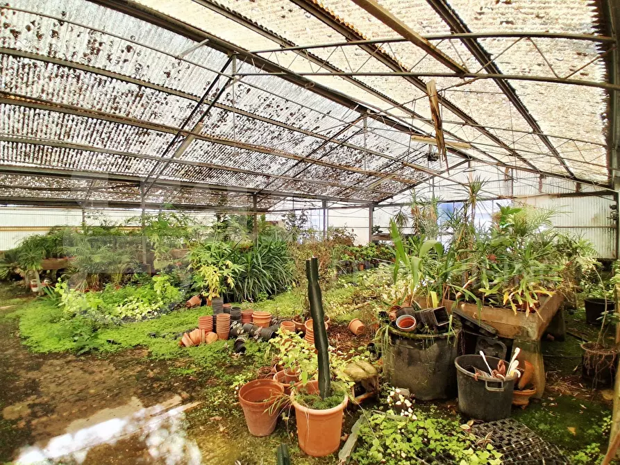 Immagine 43 di Terreno agricolo in vendita  in Contrada gaddimeli, snc a Ragusa