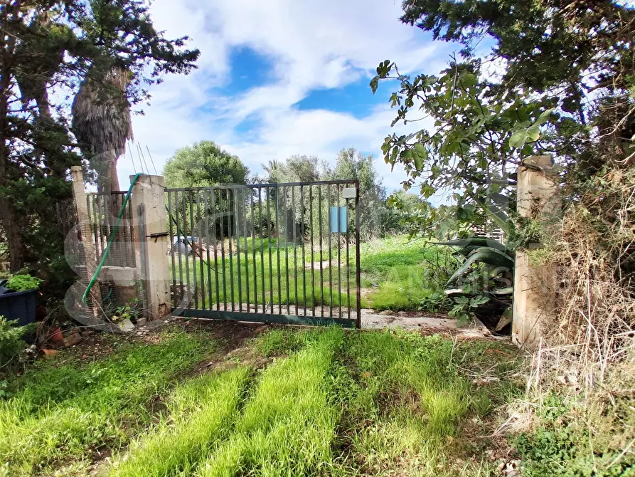 Immagine 18 di Terreno agricolo in vendita  in Contrada gaddimeli, snc a Ragusa