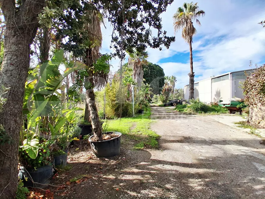 Immagine 7 di Terreno agricolo in vendita  in Contrada gaddimeli, snc a Ragusa
